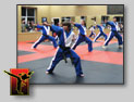 Demo Team at VIP Karate