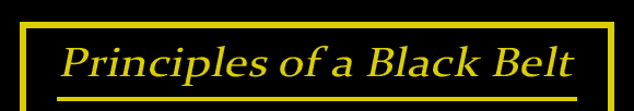 Principles of a Black Belt