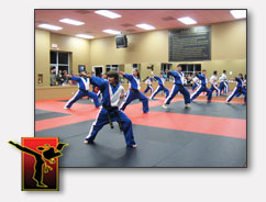VIP Karate Demo Team